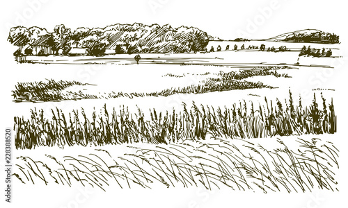 Rural landscape. Hand drawn illustration.
