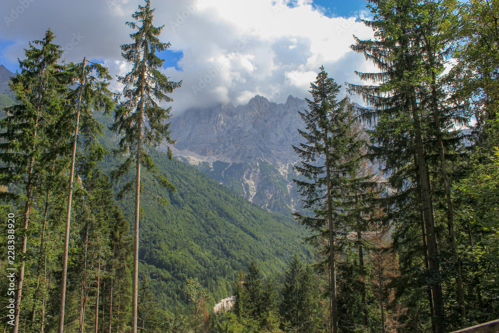 Details from national park Triglav, part of Alps mountains in Slovenia