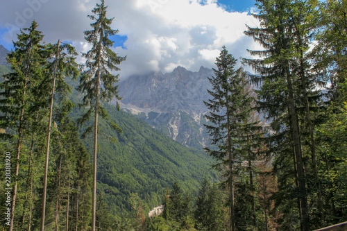 Fototapeta Naklejka Na Ścianę i Meble -  Details from national park Triglav, part of Alps mountains in Slovenia