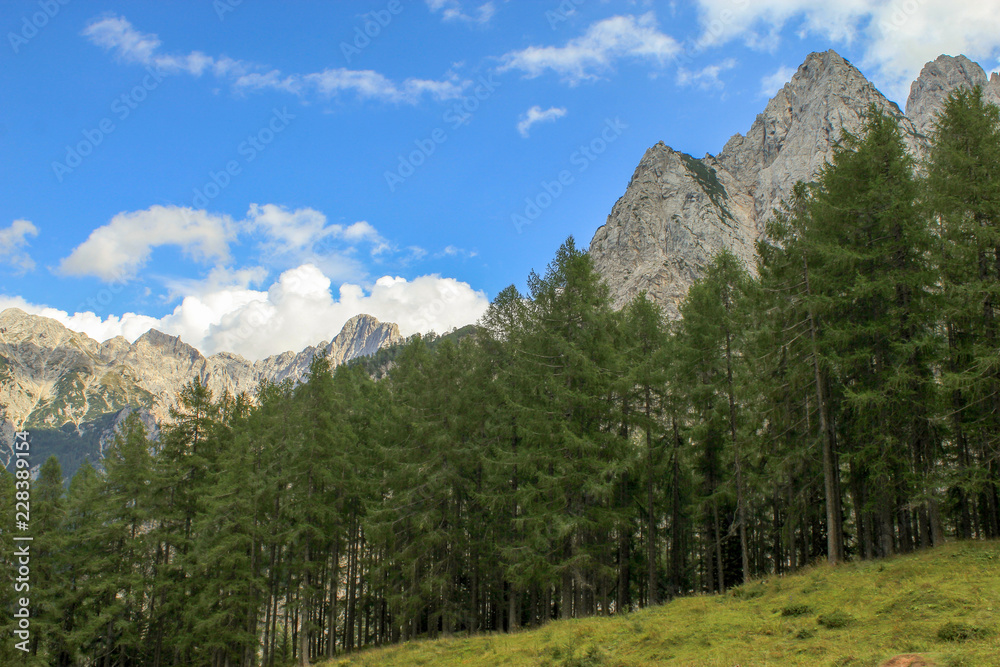 Details from national park Triglav, part of Alps mountains in Slovenia