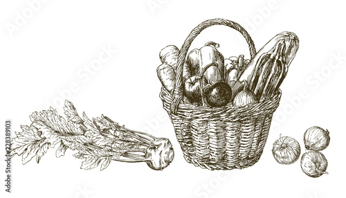 Basket with vegetables. Hand drawn illustration
