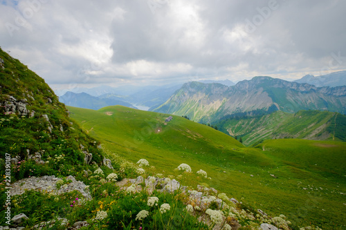 Typical summer mountains Switzerland landscape at sunny day time