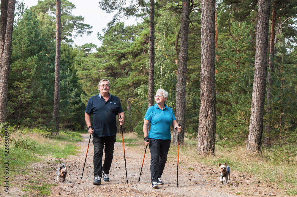 Nordic Walking Nordic Walking