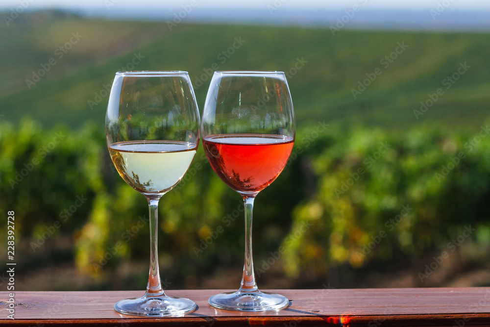 Autumn landscape with glasses of rose and white wine on the background of a vineyard.