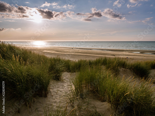 Sand path within marram grass covered dunes leads towads the beach just prior sunset in northern France