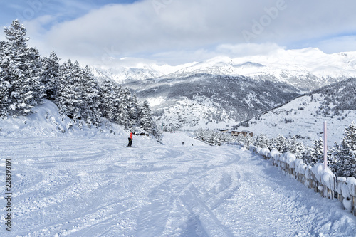 The ski slope among fir-trees.