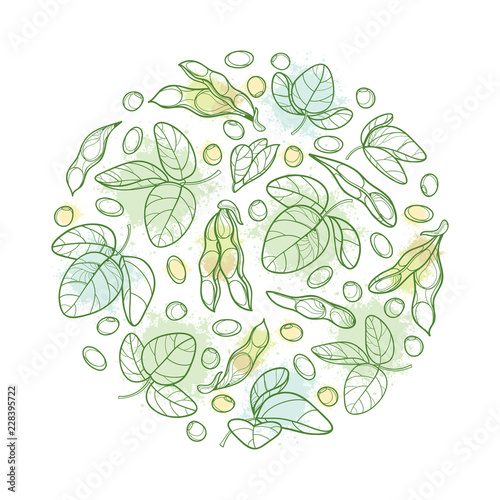 Vector round bunch with outline Soybean or Soy bean pod with beans and ornate leaf in pastel green isolated on white background. Legume plant Soya in contour style for vegetarian food drawing.