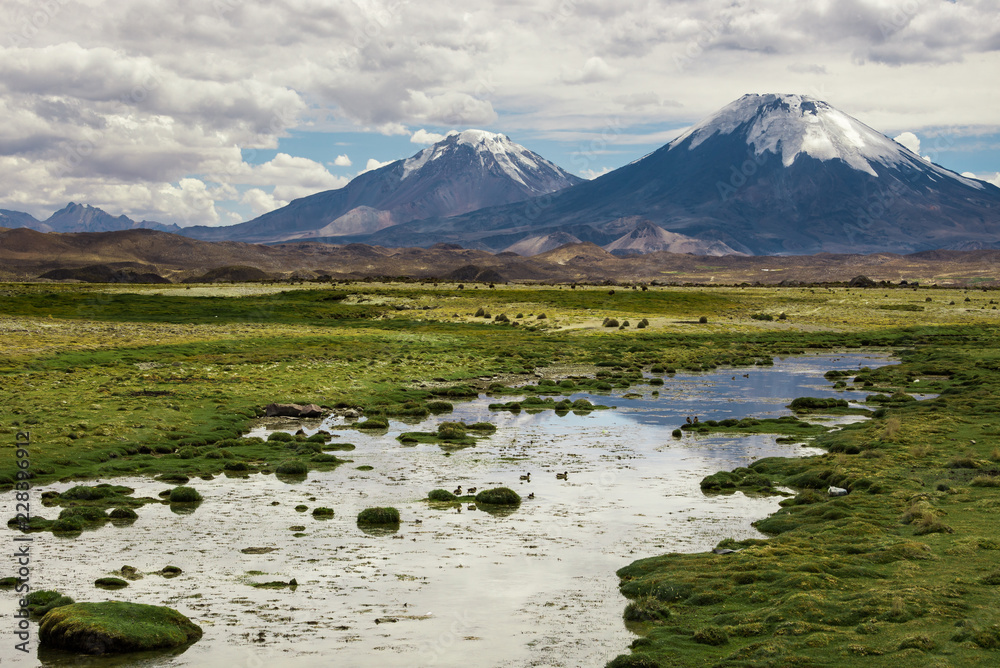Lauca National Park with Parinacota volcano in the background, Chile