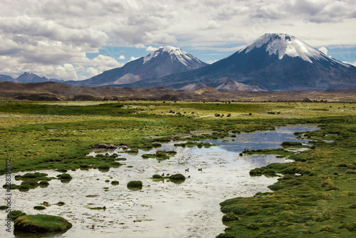 Obraz na płótnie Lauca National Park with Parinacota volcano in the background, Chile w salonie