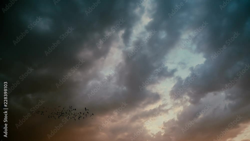 Silhouette of crows flying on the sky.
Magic Lantern Raw Video Silhouette of crows flying on the sky.
Magic Lantern Raw Video