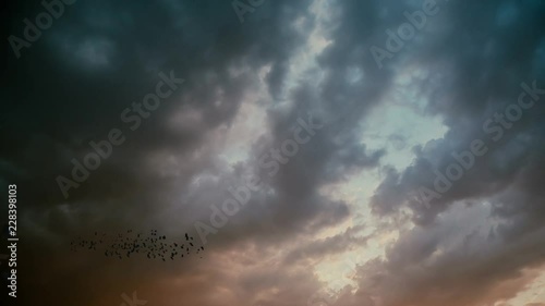 Silhouette of crows flying on the sky.
Magic Lantern Raw Video photo