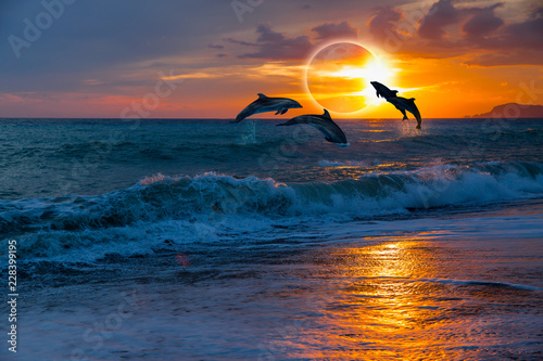 Couple dolphins jumping on the water with solar eclipse