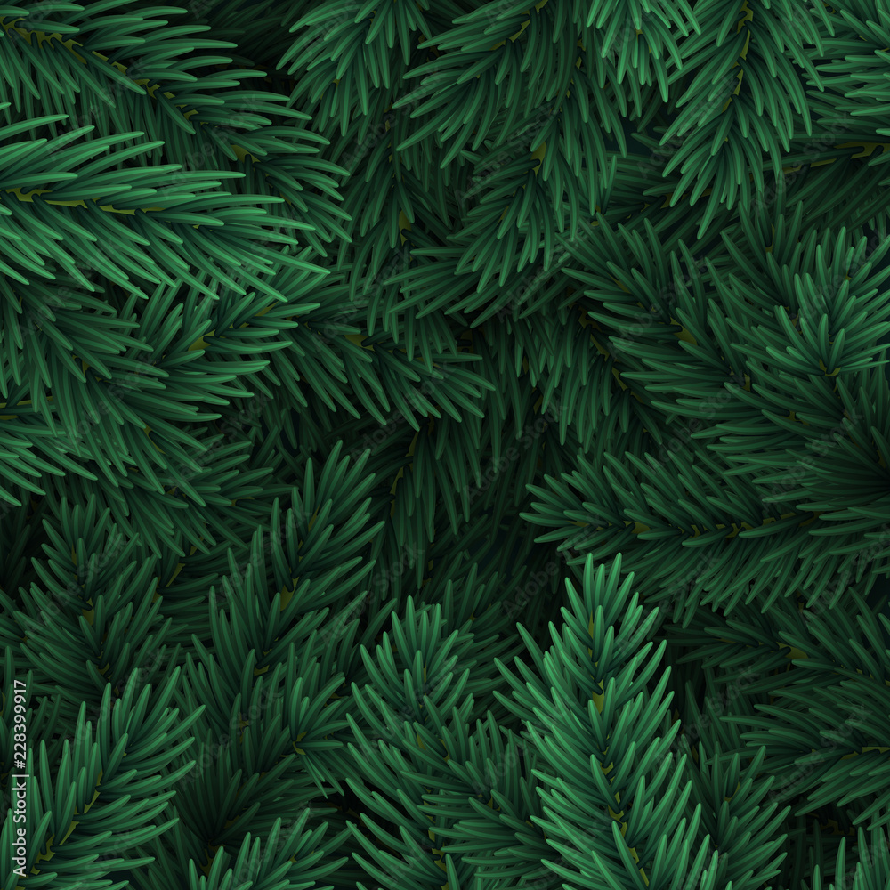 Christmas tree branches. Festive Xmas border of green branch of pine.