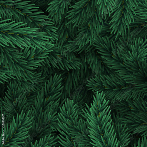 Christmas tree branches. Festive Xmas border of green branch of pine.