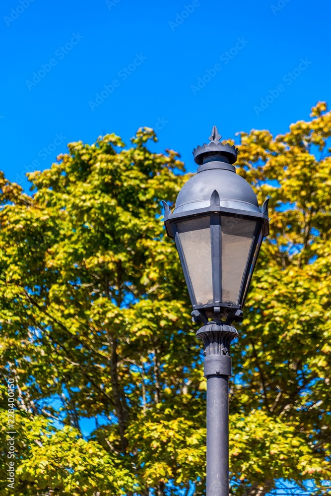 Traditional Lamp Post by Tree