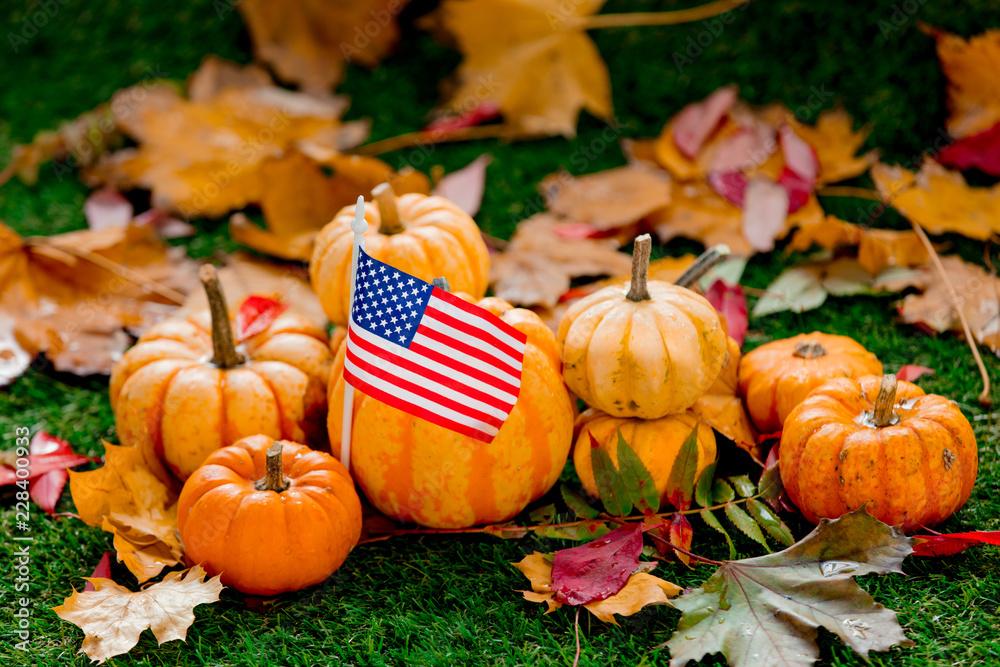 Group of pumpkins and American flag on green lawn Group of pumpkins and American flag on green lawn
