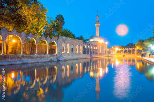 Fototapeta Naklejka Na Ścianę i Meble -  Halil-ur Rahman Mosque and Holy lake with sacred fish in Golbasi Park - Urfa, Turkey