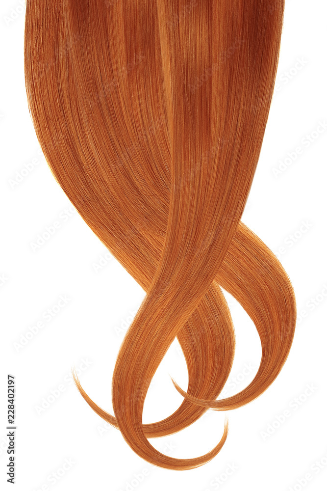 Red hair, isolated on white background. Long wavy ponytail
