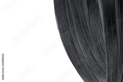 Black hair, isolated on white background. Flat lay and copy space