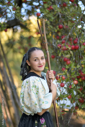 une belle femme récolte de pommes photo