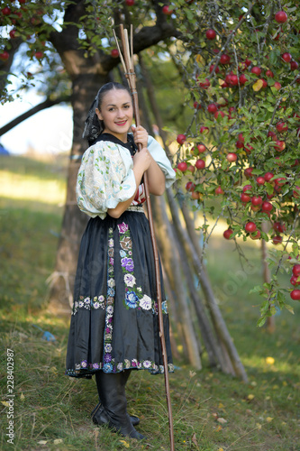 une belle femme récolte de pommes