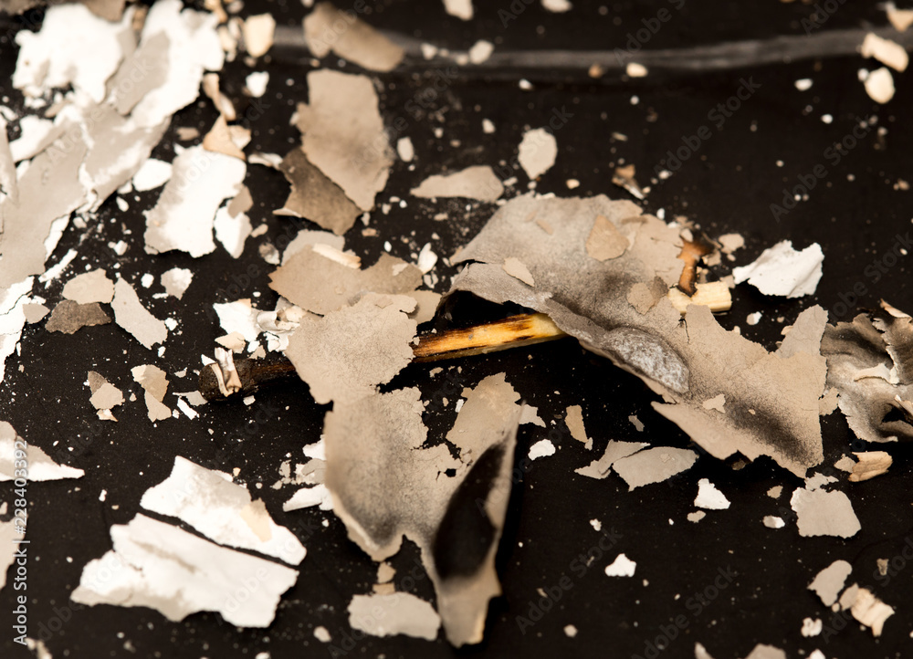 Fototapeta the texture of the paper ash and matches