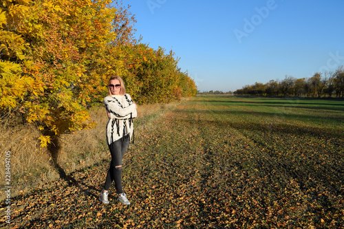 Girl on a background of yellow leaves of autumn trees. Girl in sunglasses. Autumn photo session © eleonimages