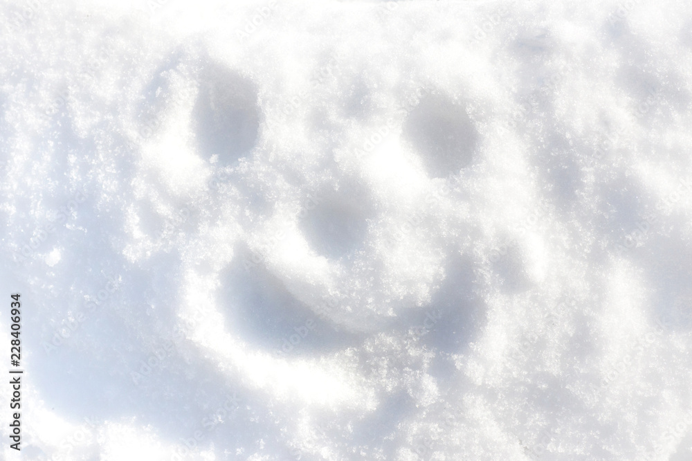 smiley on snow