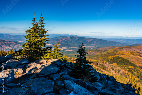 Autumn Scenery in Mount Spokane State Park, Spokane, Washington, USA