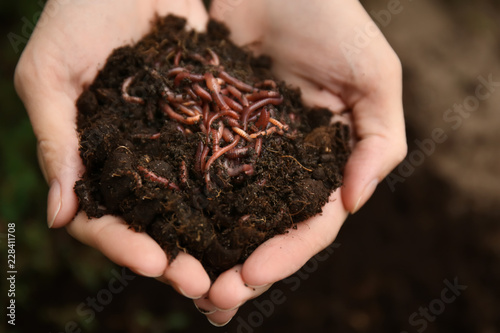 Woman holding worms with soil, closeup photo