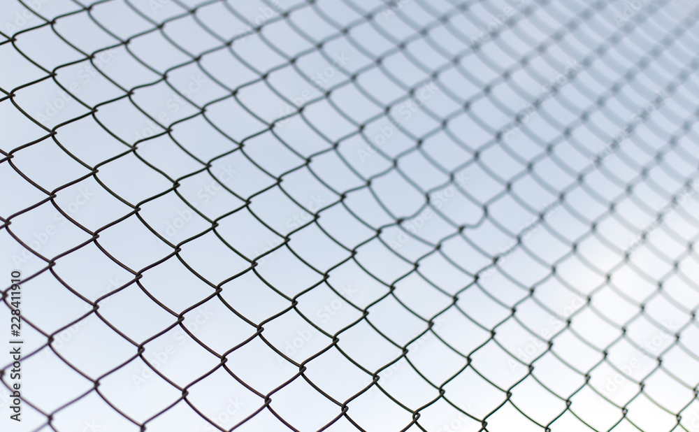 Fototapeta premium steel netting