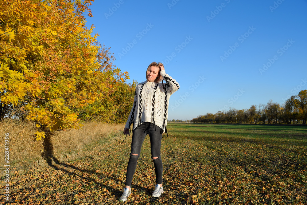 Girl on a background of yellow leaves of autumn trees. Autumn photo session Girl on a background of yellow leaves of autumn trees. Autumn photo session