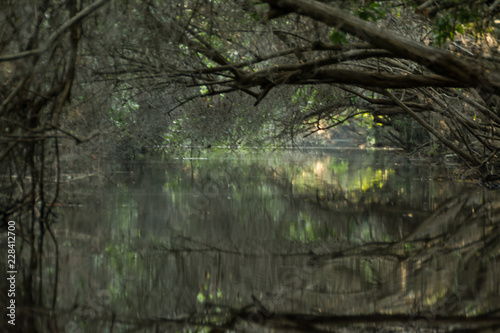 estero el chupadero photo