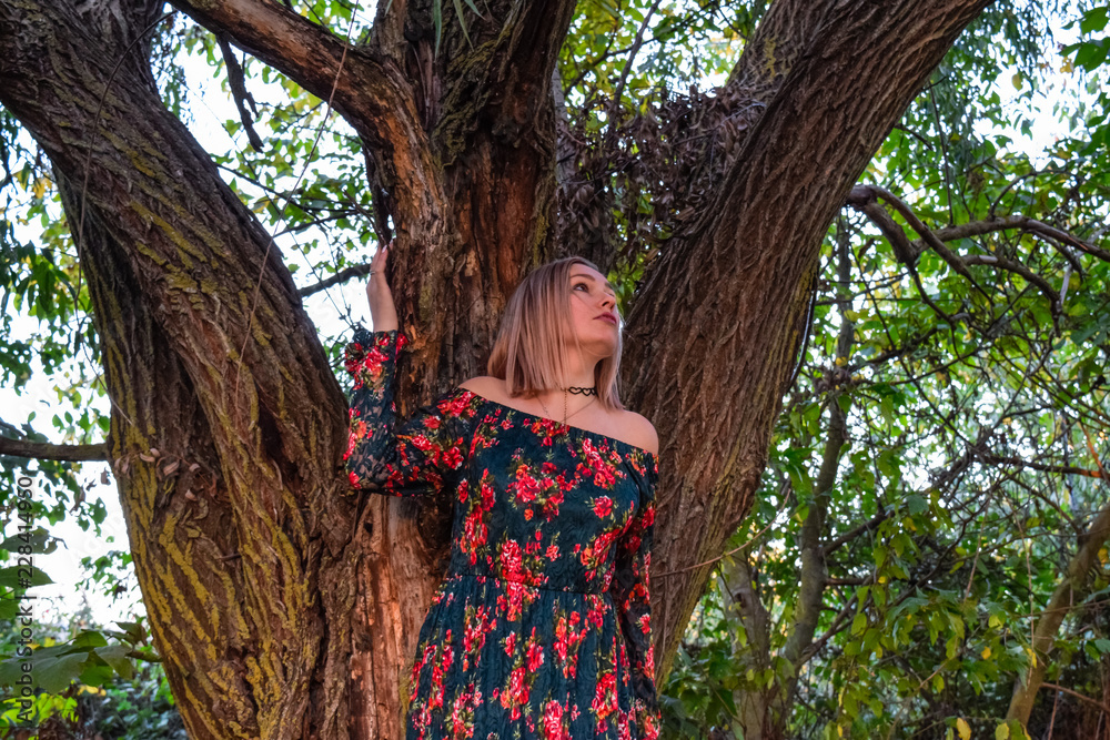 Lady under a big willow tree. Woman in a dress Lady under a big willow tree. Woman in a dress