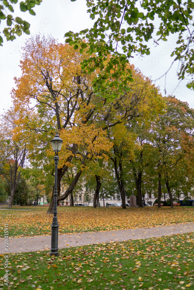 Naklejka premium gray day in the colorful autumn park