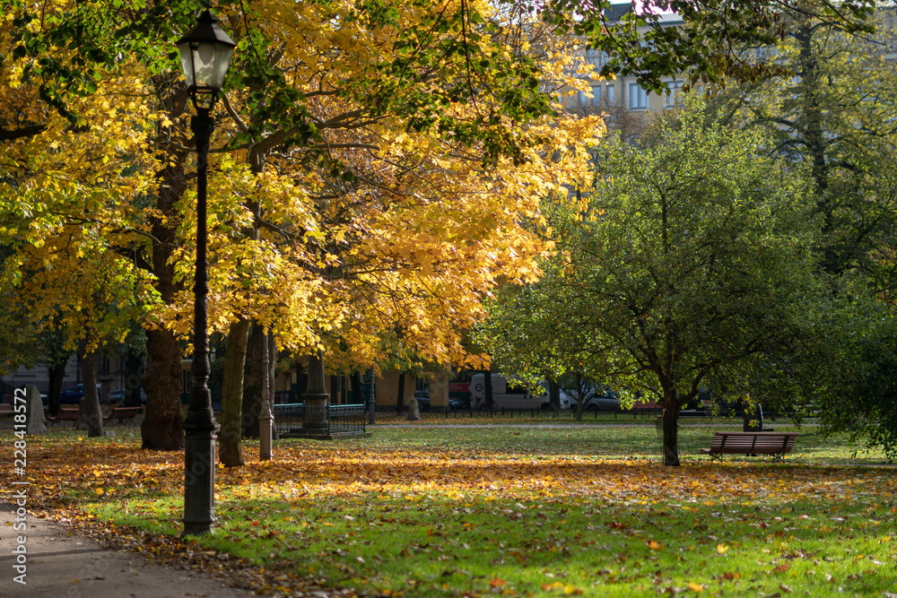 Naklejka premium Lamppost in the autumn park