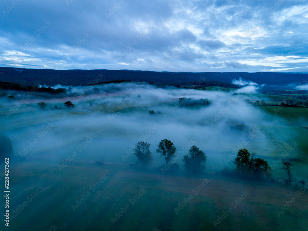 Field in the Mist