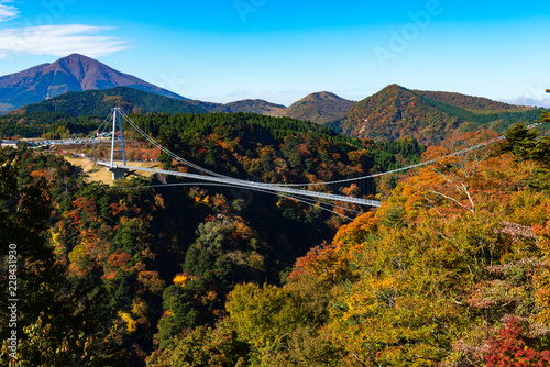 秋の九重夢大吊橋