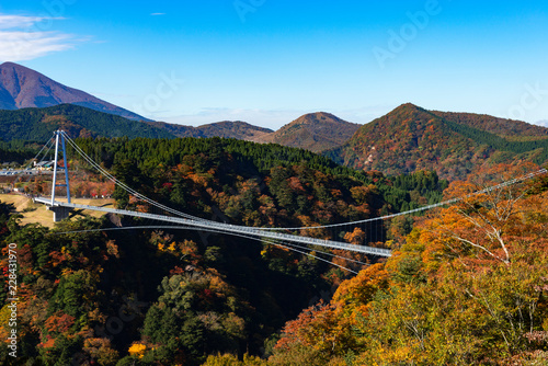 秋の九重夢大吊橋