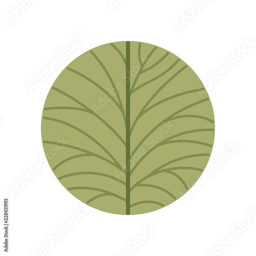 beautiful leafs isolated icon