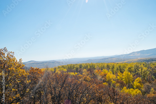 Fototapeta Naklejka Na Ścianę i Meble -  the mountain autumn landscape with colorful forest