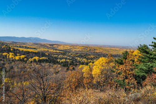 the mountain autumn landscape with colorful forest