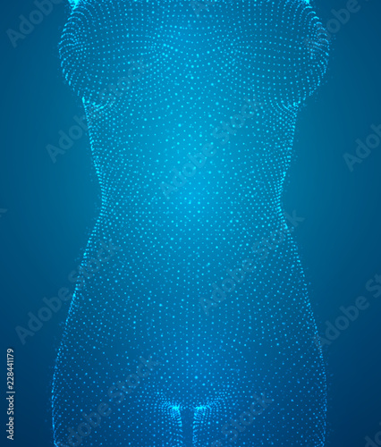 A three-dimensional female body from square polygons.