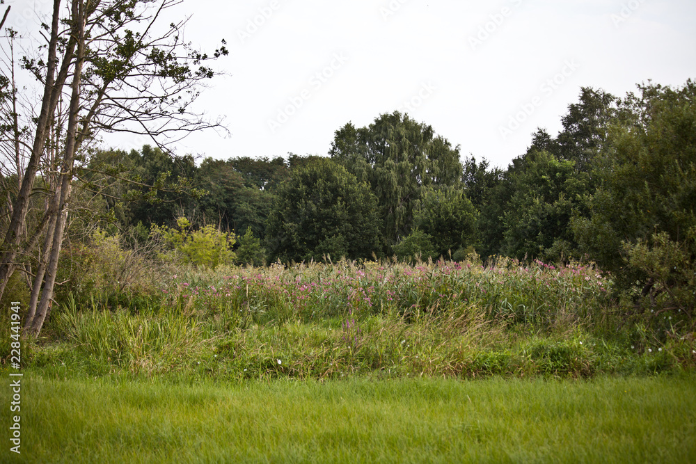 Landschaft Landschaft