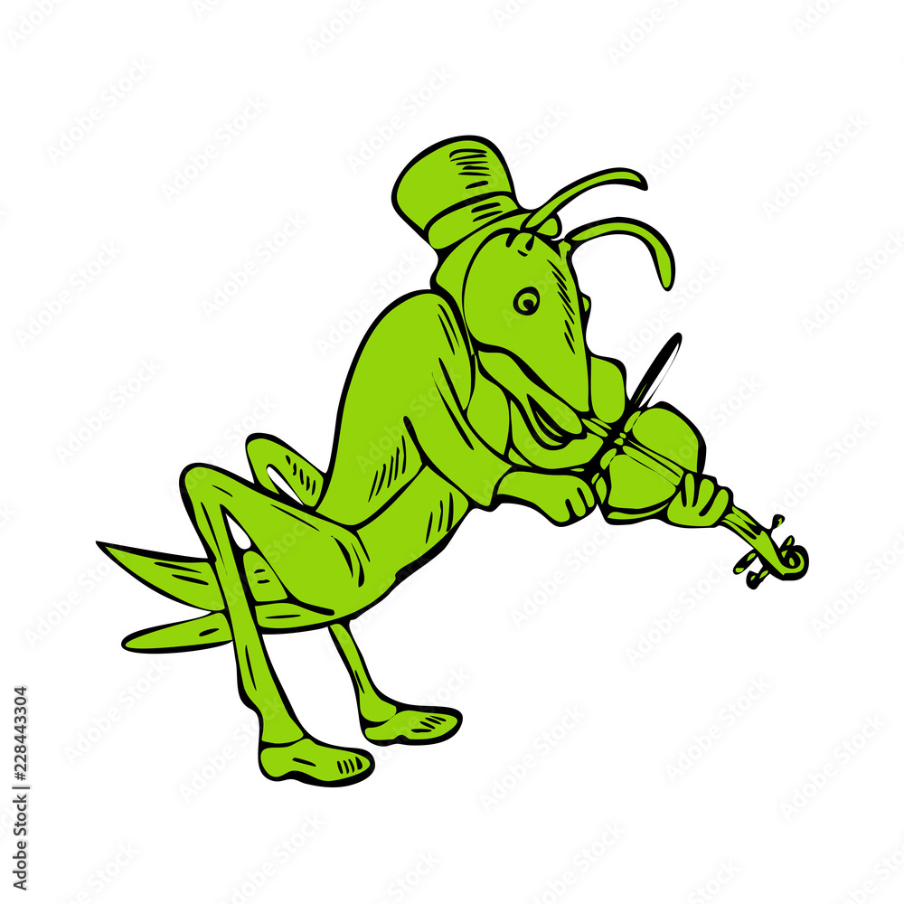 Fototapeta premium Grasshopper Fiddler Drawing