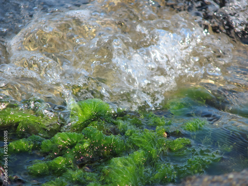 海面 水草と波 © AP4U