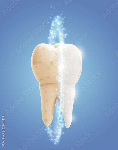 vector molar tooth. beauty and health. tooth cleaning and personal care