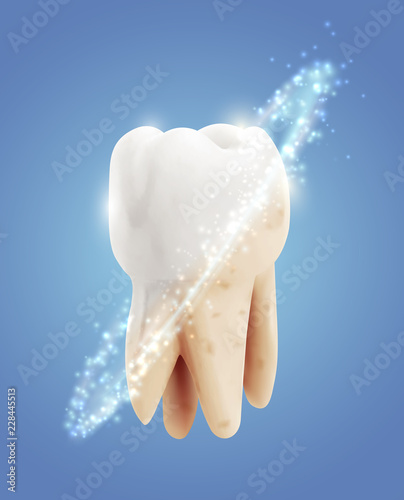 vector molar tooth. beauty and health. tooth cleaning and personal care