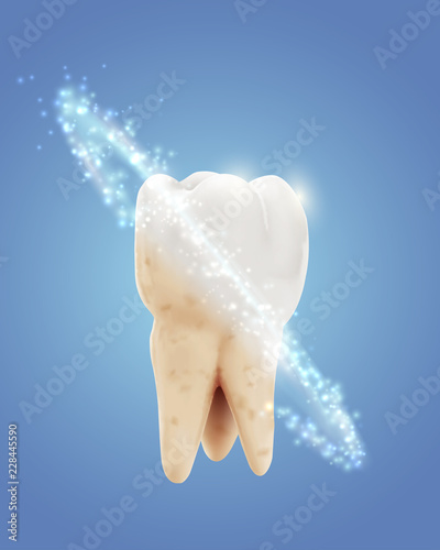 vector molar tooth. beauty and health. tooth cleaning and personal care