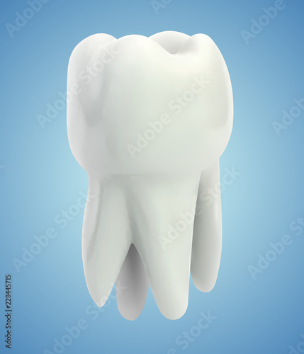 vector molar tooth. beauty and health. tooth cleaning and personal care